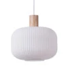 Suspension Fair Ø30 Cm 2 Suspension Fair Ø30 Cm -Lampes Boutique 509288 01 1 ProductImageMain 609f275a56
