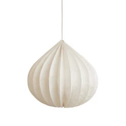 Watt & Veke Suspension Onion