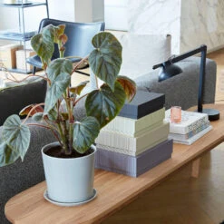 Hay Lampe De Table PC Double Arm -Lampes Boutique PC double arm miljC3B6bild 1 5602148843